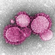 El nuevo coronavirus de China